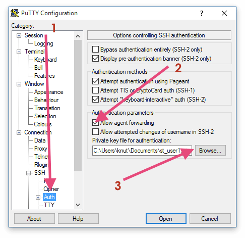 Auth-Option